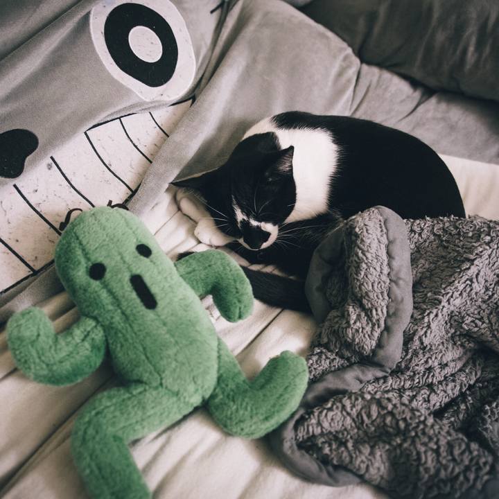 173ac3ab 31ec 49c6 afe2 65dcbc590965