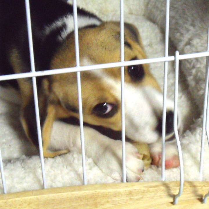 173b1107 343b 412e bd0f f71bd83b9a90