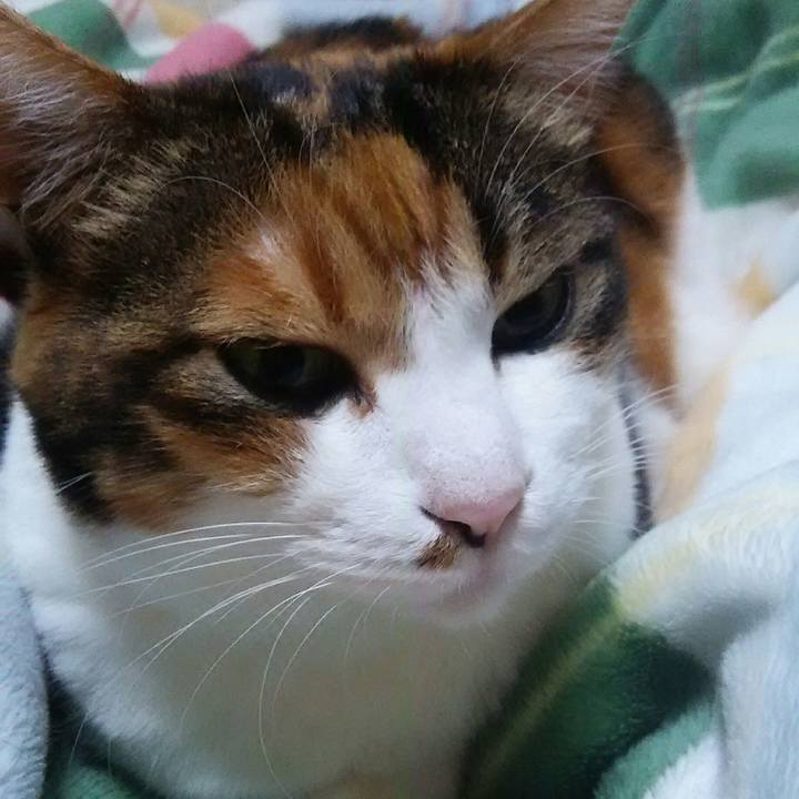 173b5b13 ed18 4bec b13b 5ec3bcc72bcd