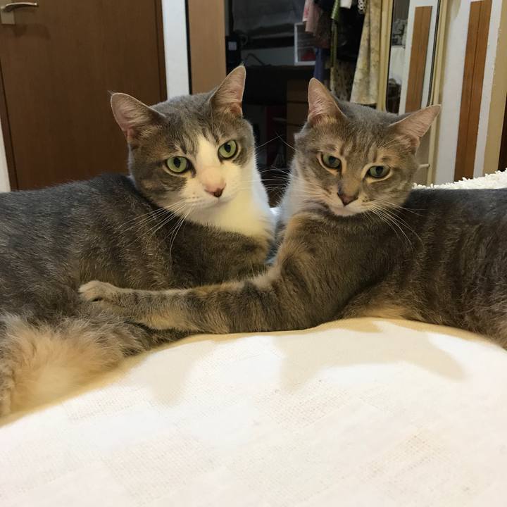 173ba277 c6e5 4b86 89b5 3f73b8112c37