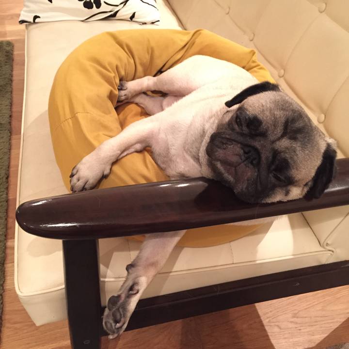 173ba79e 3b07 474c 8eb5 f20b14f6fca1