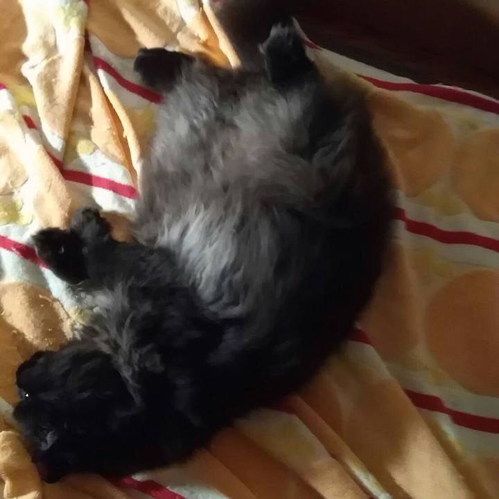 173bfa1b ce8a 4d00 9f92 8580137580f5