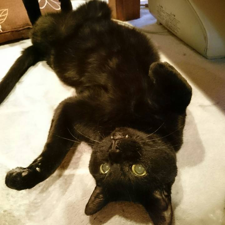 173c467f 8e41 4f37 a6cb 8ea824c44665