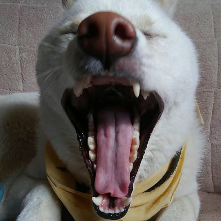 173c4f0c 7b5a 4596 bc74 52d188b8da3d