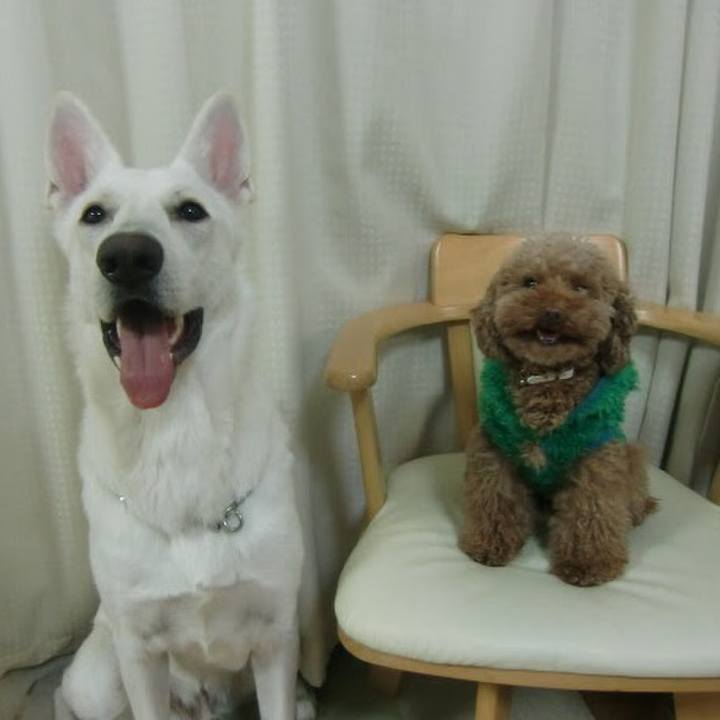 173c6f75 0126 407d a165 5ca58cfc2245