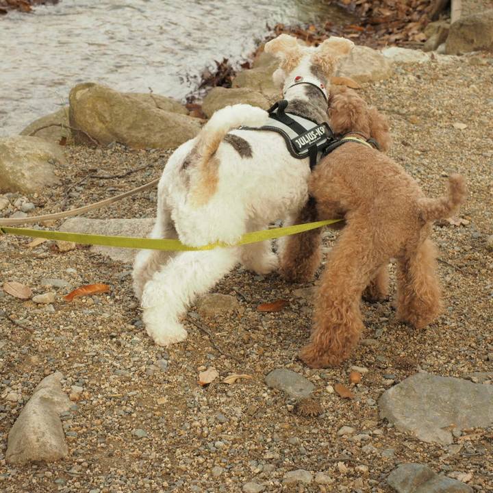 173c77ac e93e 44a5 bf0a 6bf835e887c8