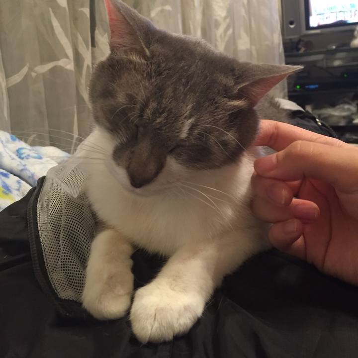 173c9695 a6bc 44fb 8c45 fb7b80a6fa7a