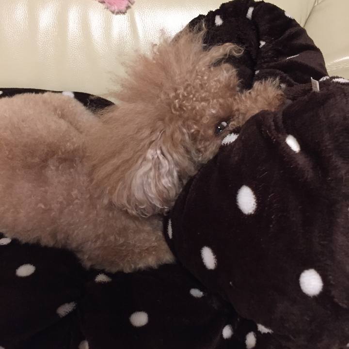 173d529b 0e96 4576 a372 df5fadd69c9e