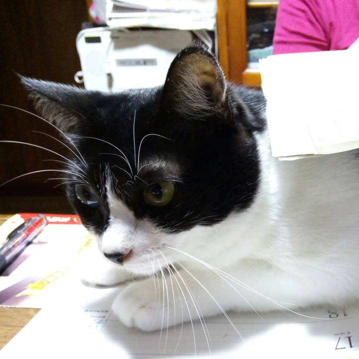 173d645c 3dfa 45d1 abb6 714ed798bc36