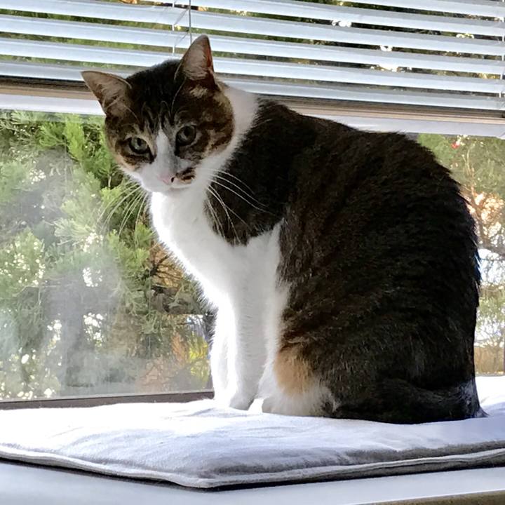 173e349a fa26 48a0 8bf0 fdb4eddfd4ff