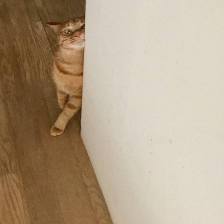 173e3be4 4dd7 4cf6 8775 170450e846ff