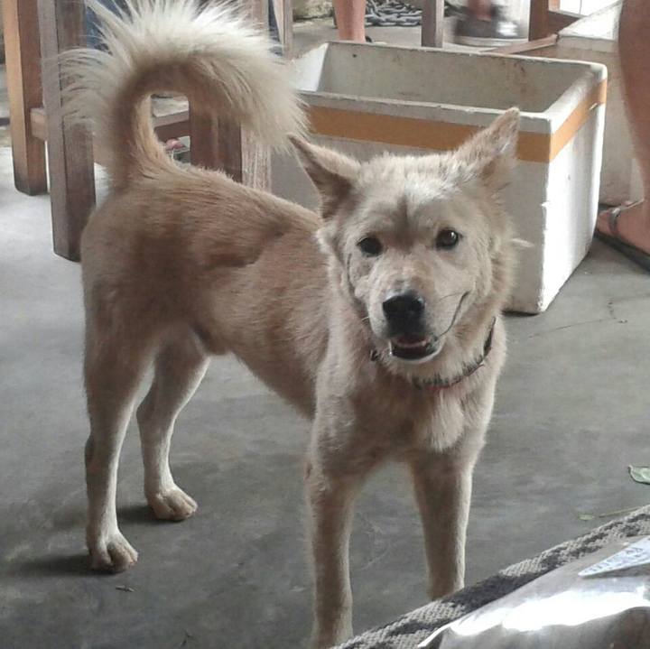 173fdb9b 6fcf 4e60 baa4 f1586db732f3