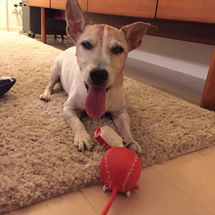 174021a4 787c 489c 99b2 99234de492a6