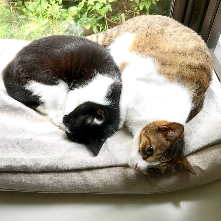 174021af c0ae 4004 ba5a 37f3c90d5af6