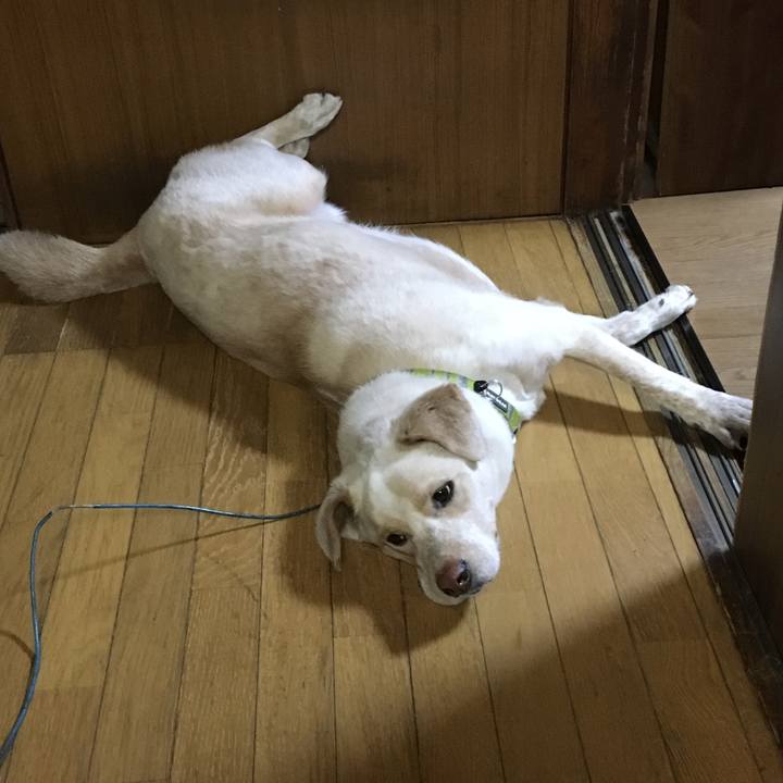 1740edb3 6904 445f a826 36e15aec6973