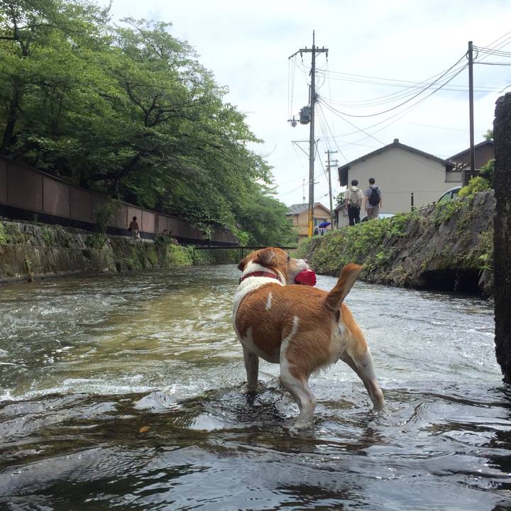 17421c33 ad6b 4e41 b0e0 b04f8d65a3bb