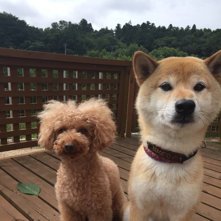 1742a97e 6841 4617 a6ca 8ddac1b7a6eb