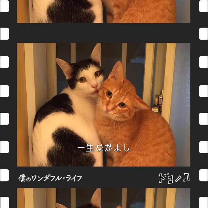 1743112f 4aae 4e1d ad5d f2d816f472e1