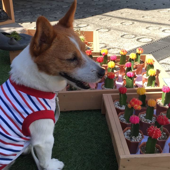 17435bb2 d273 43ca 8cd6 08440f796015