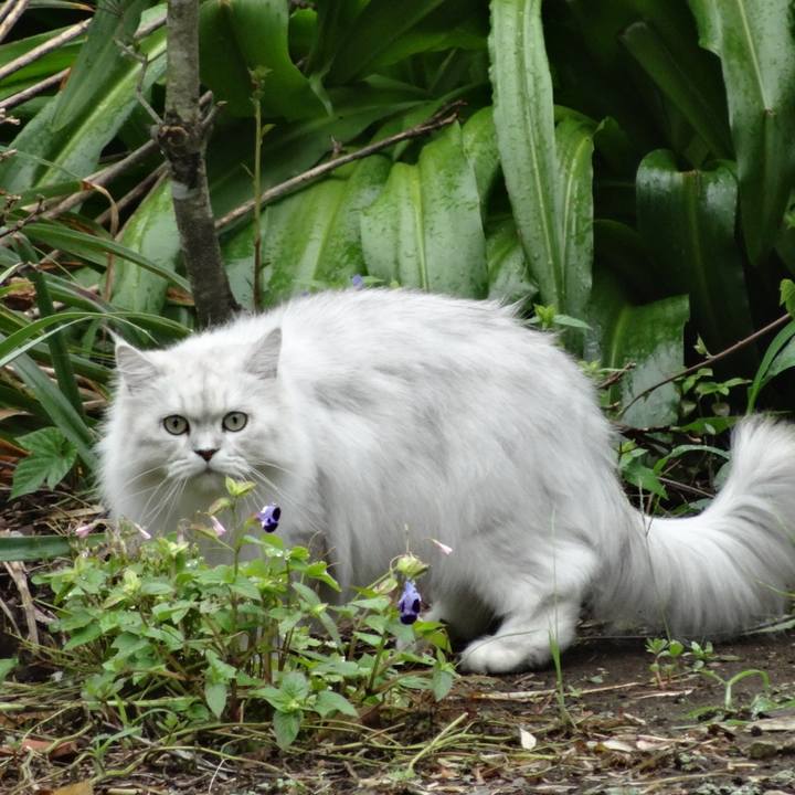 1743b31e a21b 4d6d af4b 075bbd7f2054