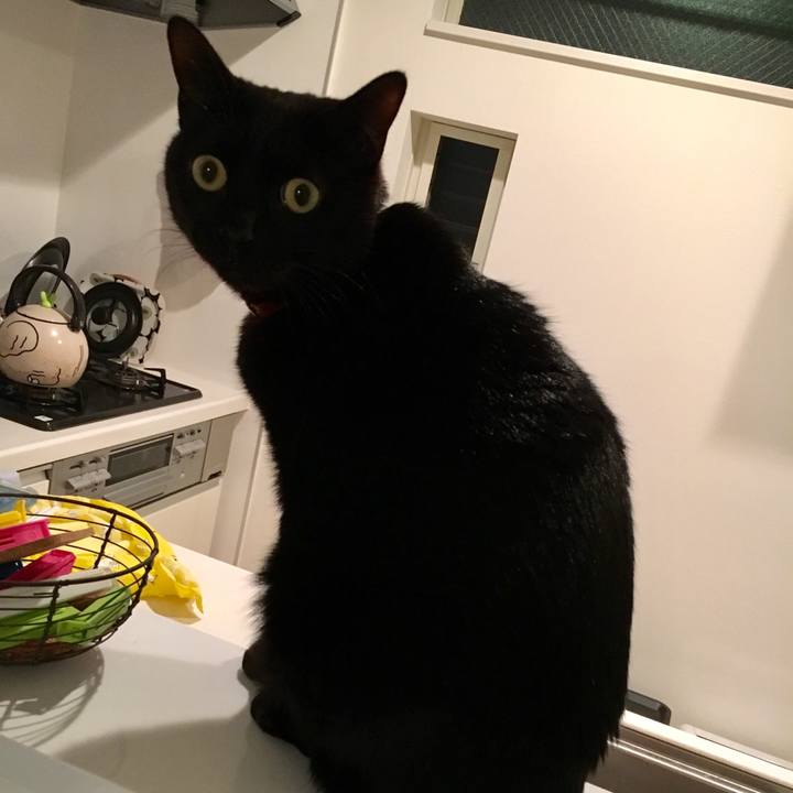 1744ef86 8cc5 43bb 92a6 43668b8bd4d6