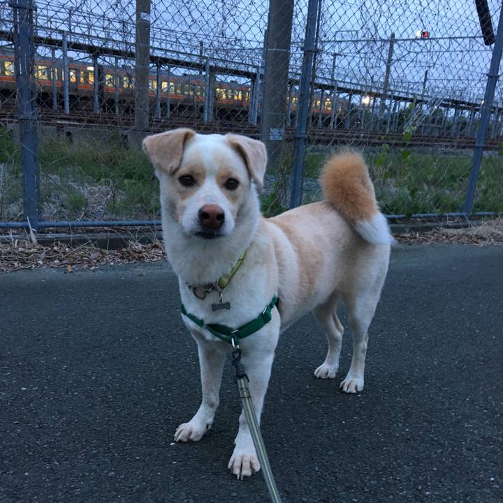 17462544 6126 486c a46e 1be3097cf060