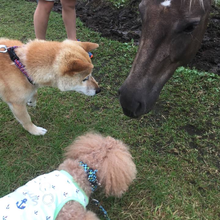 1746e3a6 6d49 4783 885a 48f9b564bd41