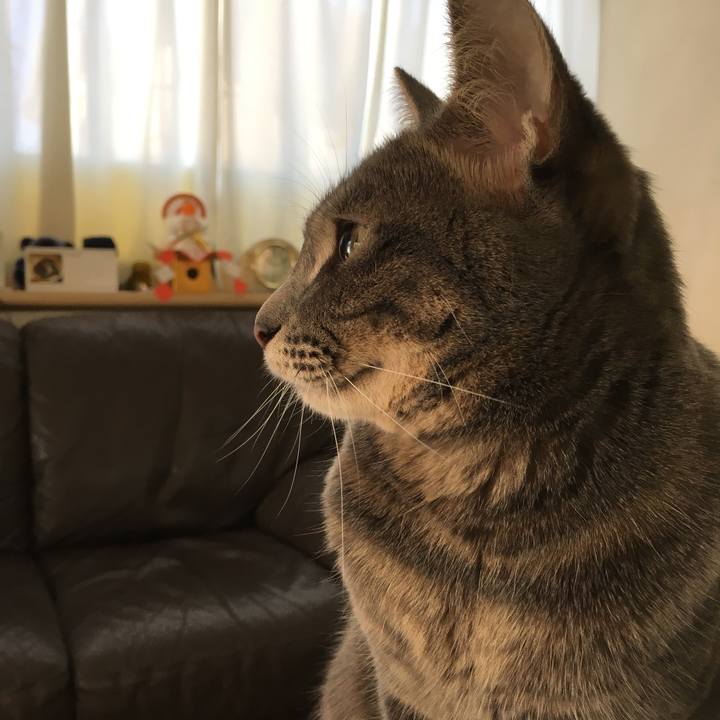 17471e72 8e3e 449b b443 81b95f12ae96