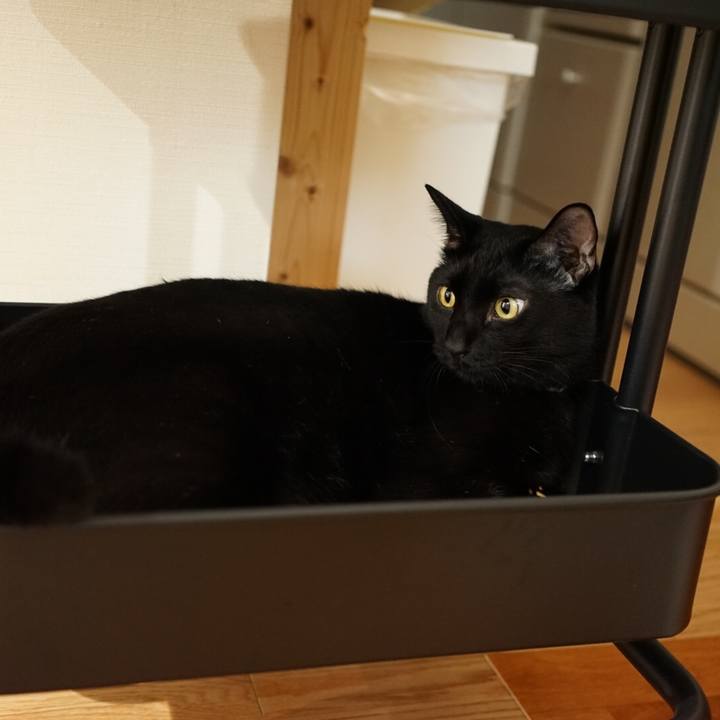 1747906a 0d45 4e67 af23 ab75a83092be