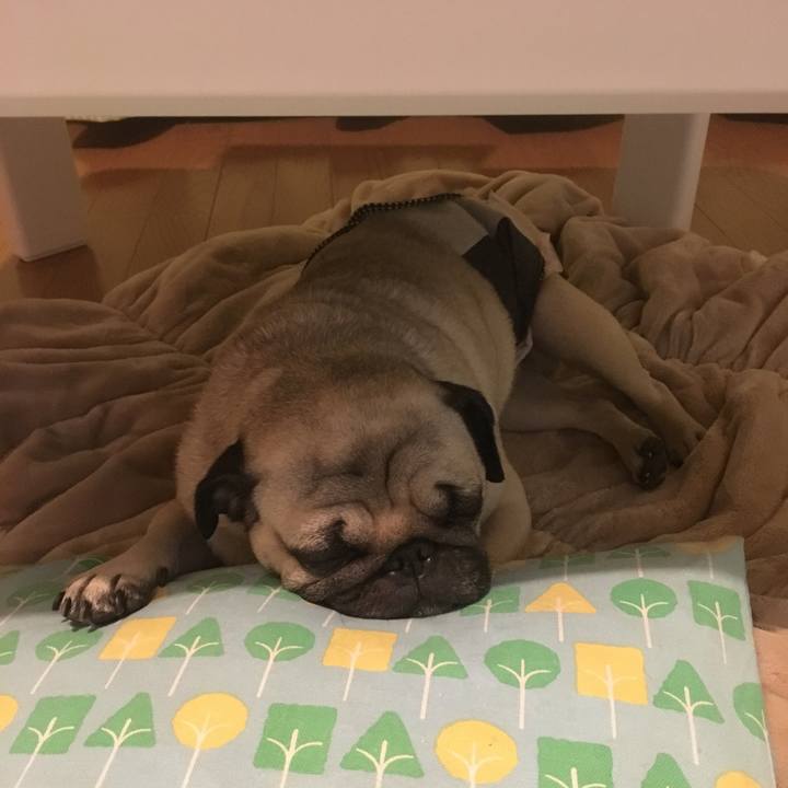 1747a9ff bf66 4efa 9f9f 719cc4ec6ea1