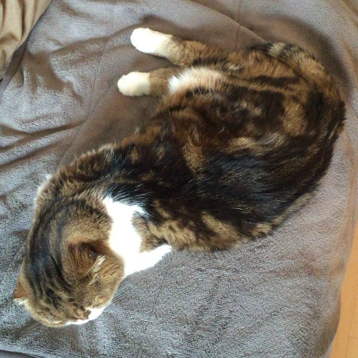 1747b3d3 4704 4a91 aa2b 0003efd81866