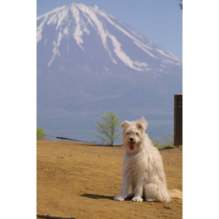 1747c7d1 afef 4082 bffc 26746daa6406