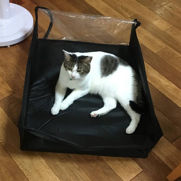 1747f453 c0e3 4cec a89f 5f026149af9c