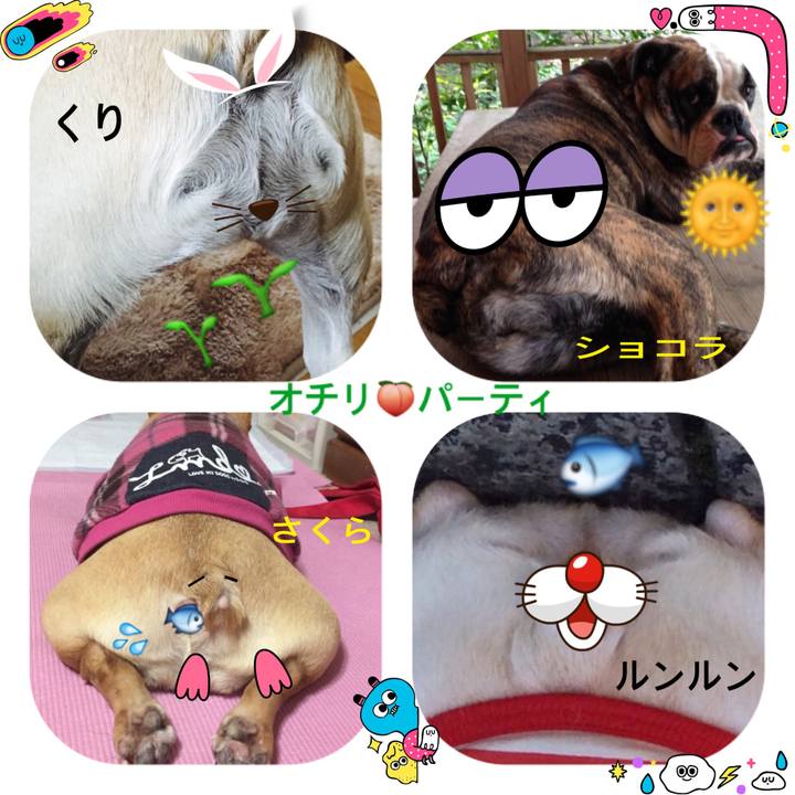 174815b1 d00b 41b2 b12a c76d9a3d2f73