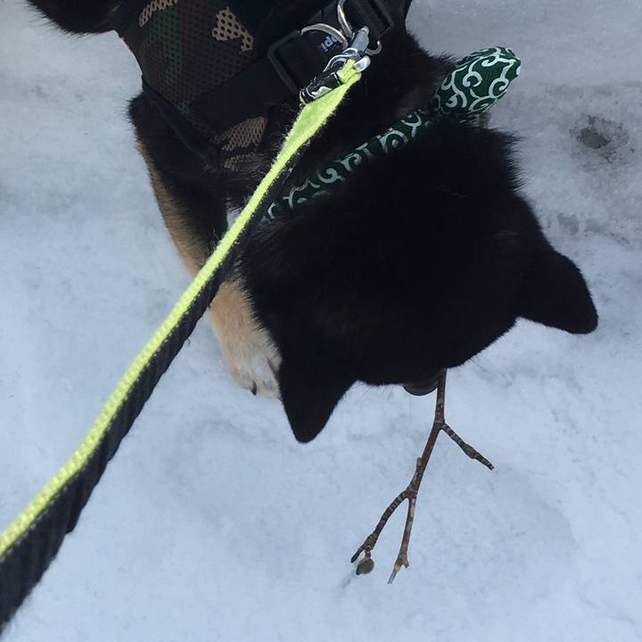 17486dc8 b58d 40ea abbc aa3dddcf3b87