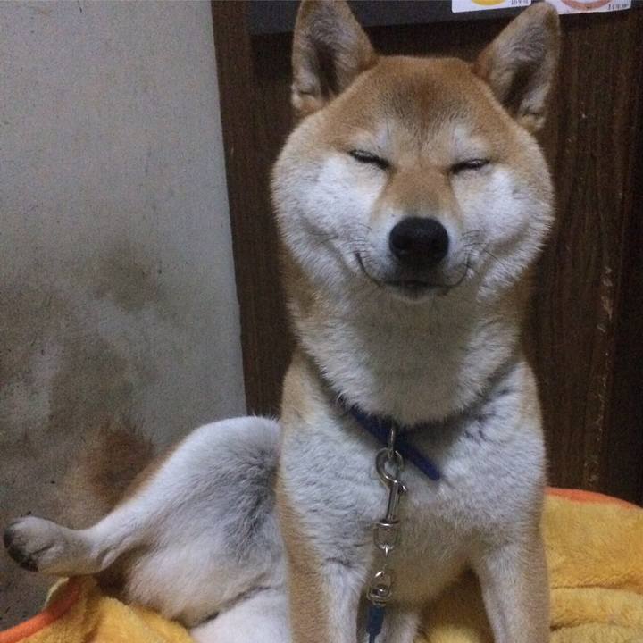 17495745 64f3 4af8 9dae 353104023f0a