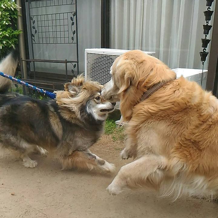 174966b2 2353 406b 9930 30d2475d834b