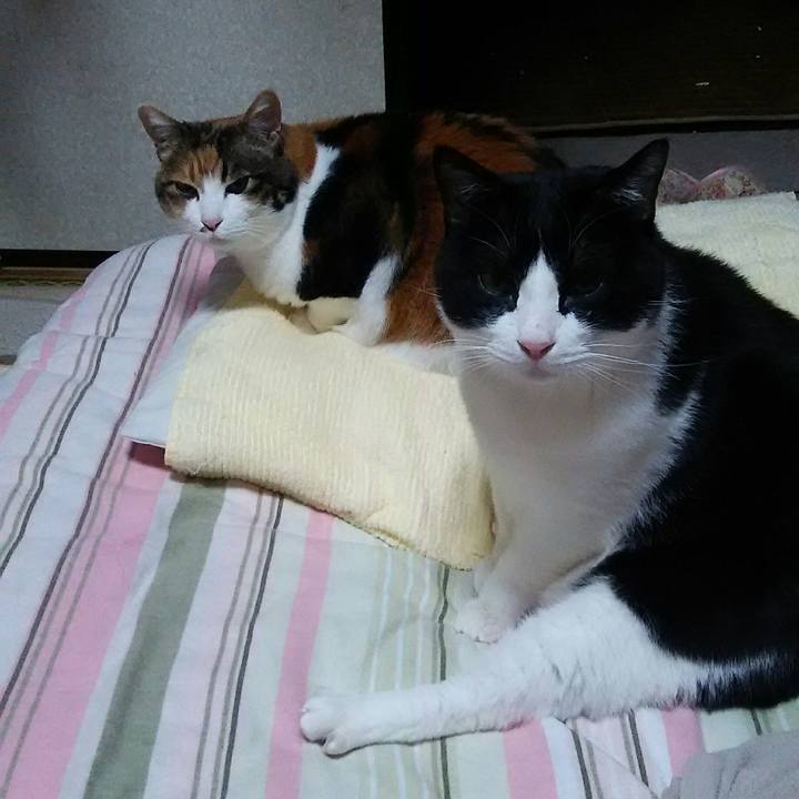 174978db 5135 498f a530 a65e70d25df2