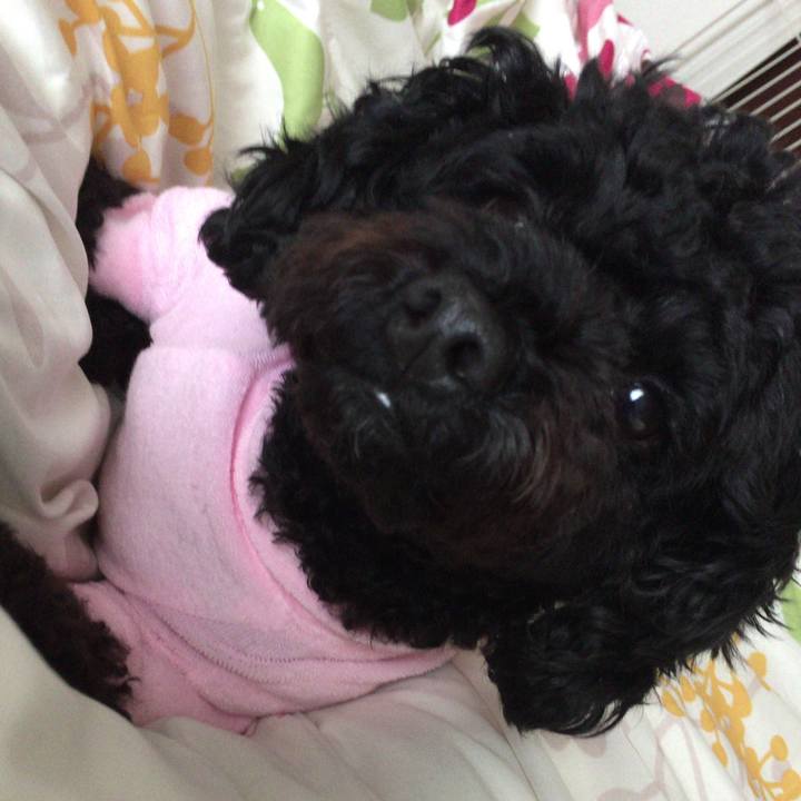 1749aa44 5b76 4e41 a88b 6ac6e05c67e5