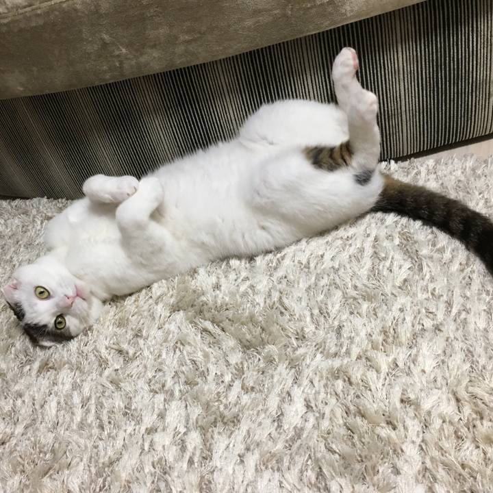 174a0703 a263 415d 9aca c7359a4016af