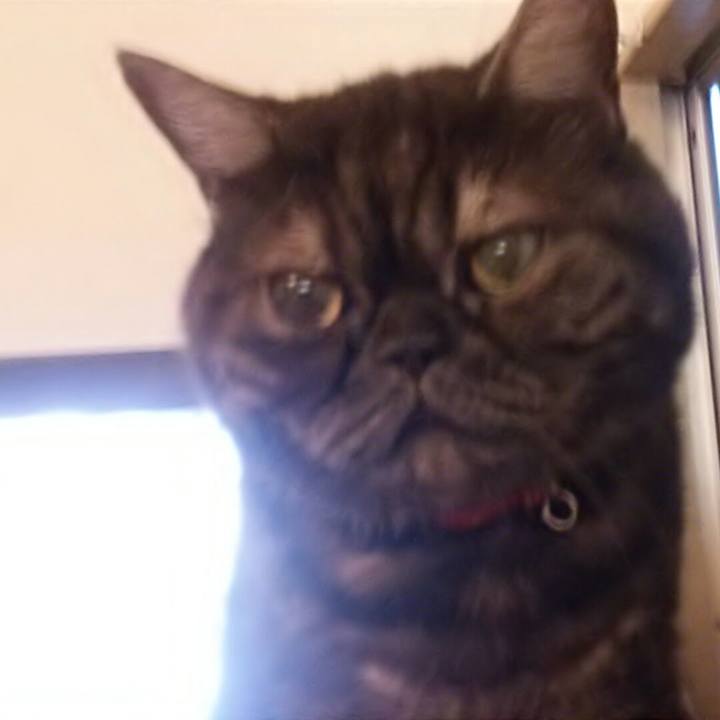 174b6960 88e8 4590 906e 4f239ed76ec4