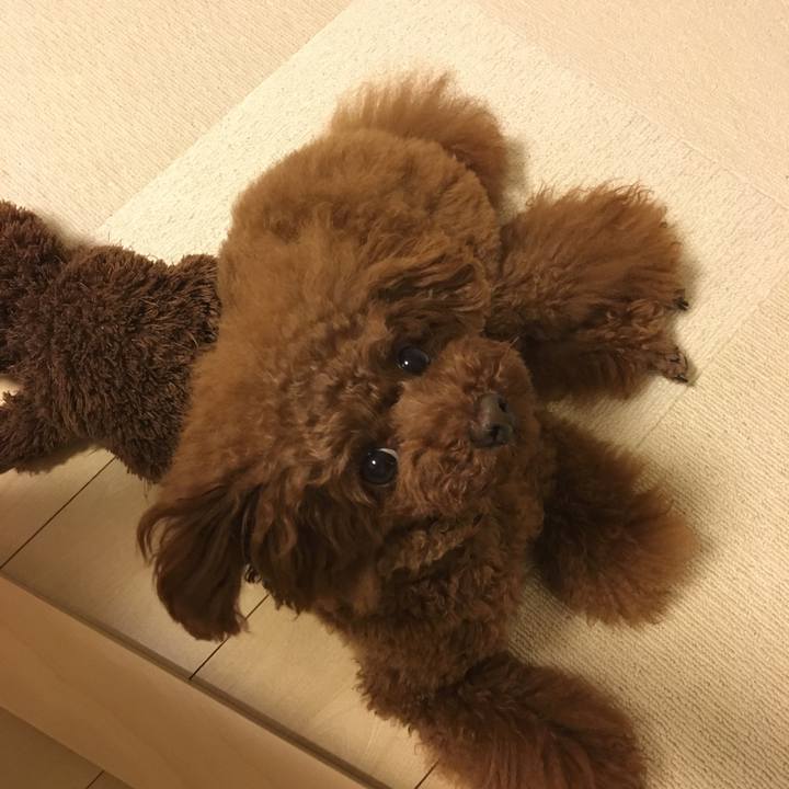 174b8b3c 450d 4993 a817 339c31c4c692