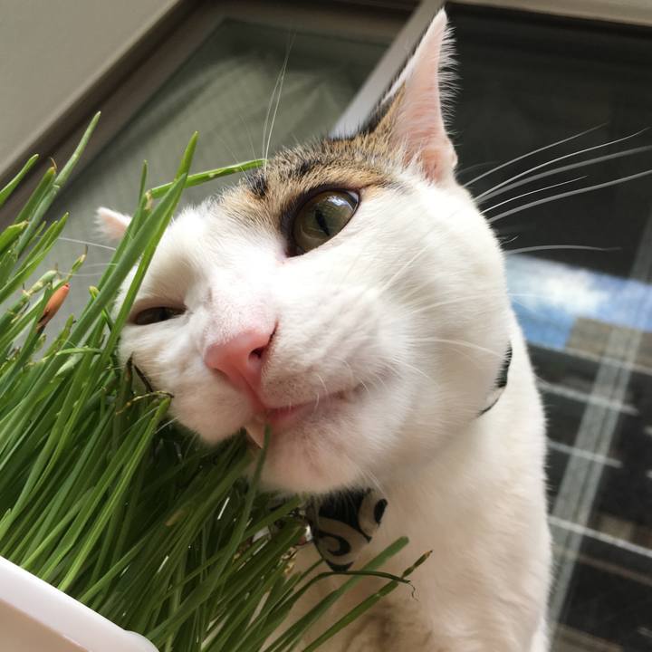 174bf5b9 cda8 4781 b5b2 5f9145a713a9