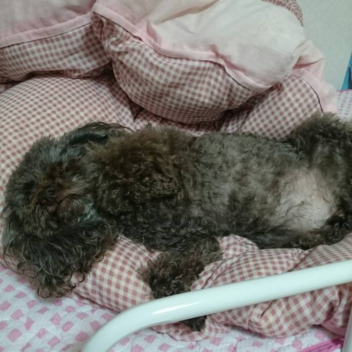 174c0213 ecdf 4e65 9d64 312f082a3359