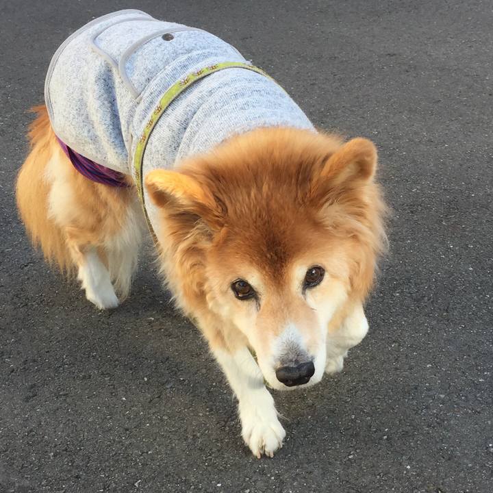 174c153c 87e6 4d99 aa59 56155dee06bd