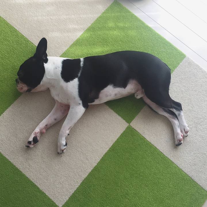 174c284c fc7f 4b14 a076 a10ccde7a262