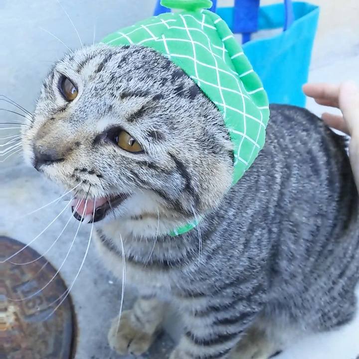 174c60e2 cee5 4287 b0fa 0c6d253d546e