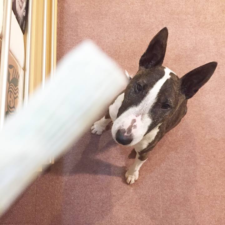 174c9c0a 5454 4a75 916e 7f489e073878