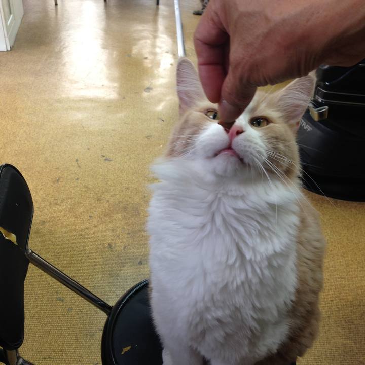 174cfd34 d52e 4d59 8216 7269c7d73993