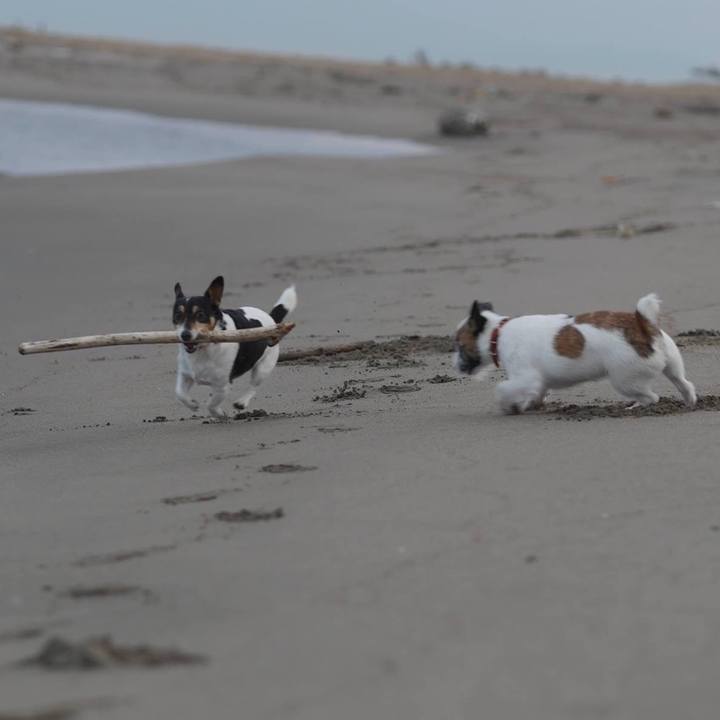 174d7e92 bbd2 47b1 a0e8 146d8674516e